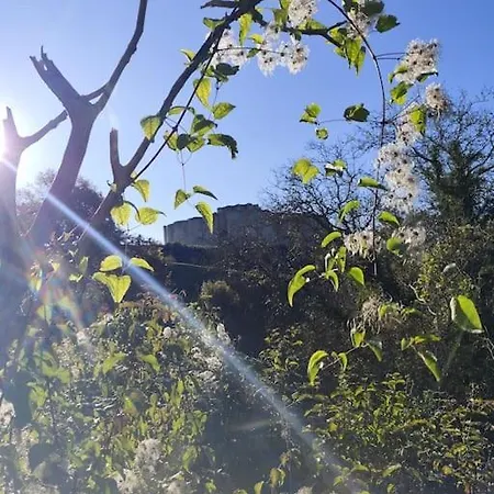 Hébergement de vacances Le Petit Paradis *